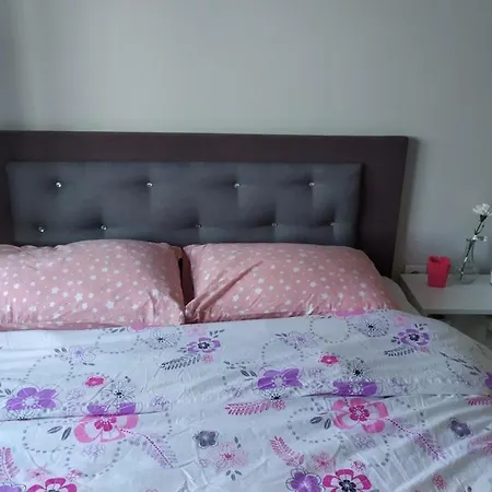 Razi Turizm 公寓 伊斯坦布尔